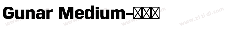 Gunar Medium字体转换